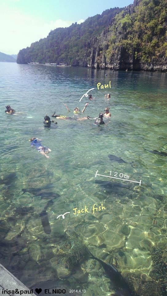 10259787_750588598315159_7090336435588407392_n 10259787_750588598315159_7090336435588407392_n