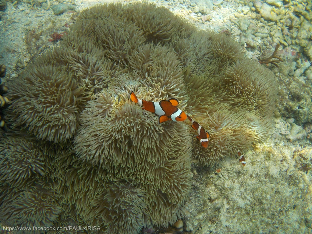 1397622473463_副本