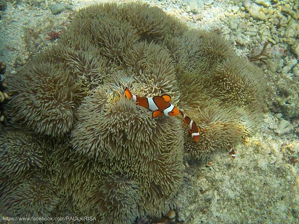 1397622473463_副本 1397622473463_副本