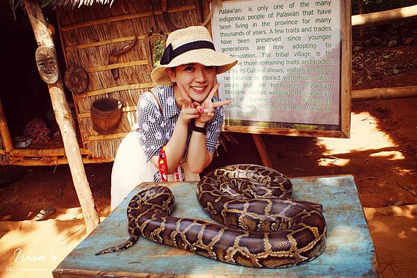 DSC00484_副本_副本