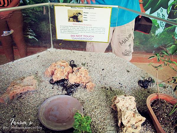 IMG_5221_副本 IMG_5221_副本