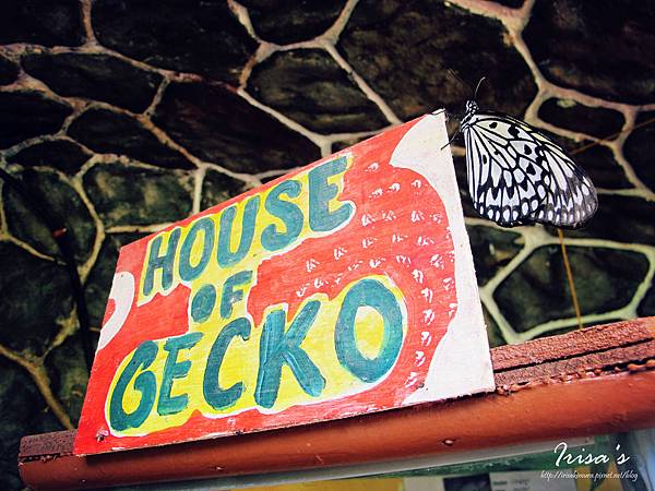 IMG_5230_副本 IMG_5230_副本