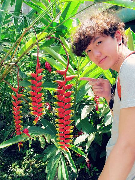 IMG_5234_副本 IMG_5234_副本