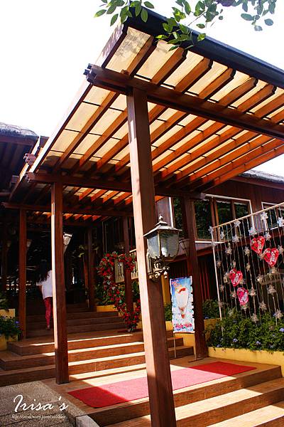 DSC00526_副本 DSC00526_副本