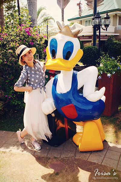 DSC00520_副本 DSC00520_副本