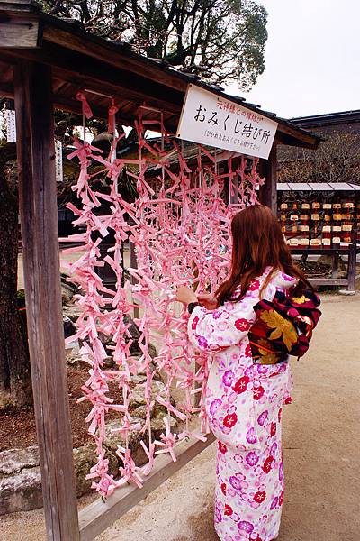 DSC00341_副本 DSC00341_副本