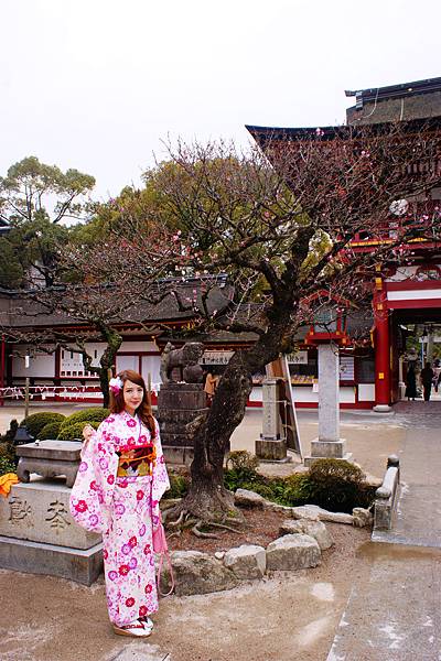 DSC00385_副本 DSC00385_副本