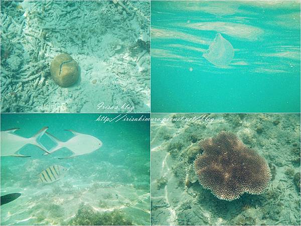 page_副本 page_副本