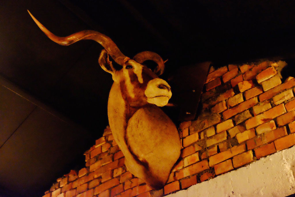 image (23) image (23)