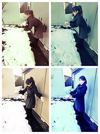 snow照片.JPG snow照片.JPG