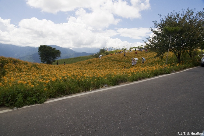 花蓮富里-六十石山-上山 (12).jpg