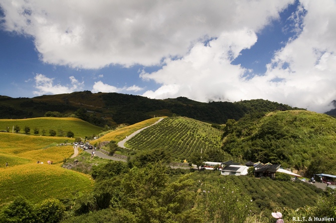 花蓮富里-六十石山-上山 (54).jpg