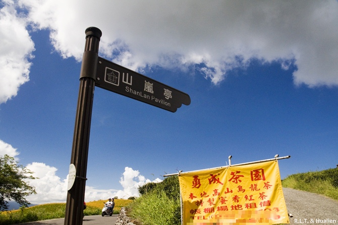 花蓮富里-六十石山-上山 (77).jpg