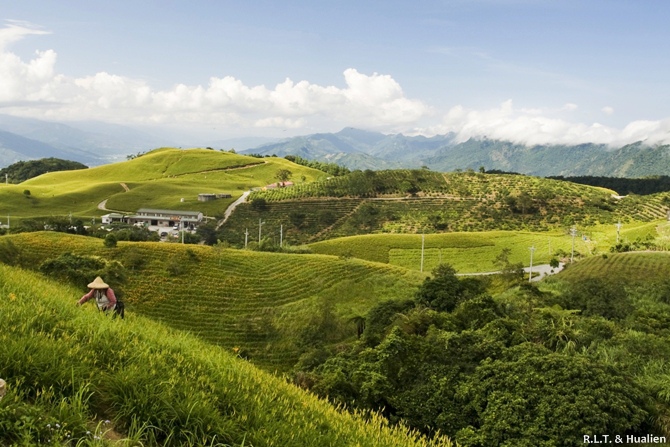 花蓮富里-六十石山-午後等拍耶蘇光 (23).jpg