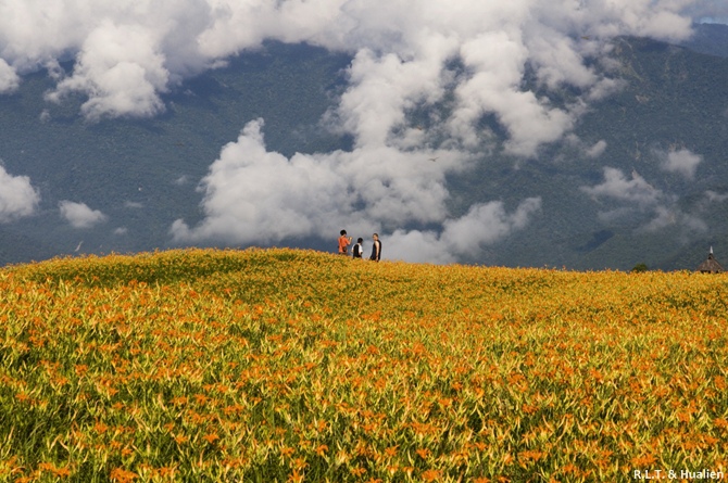 花蓮富里-六十石山-小瑞士+黃花亭隨走 (54).jpg