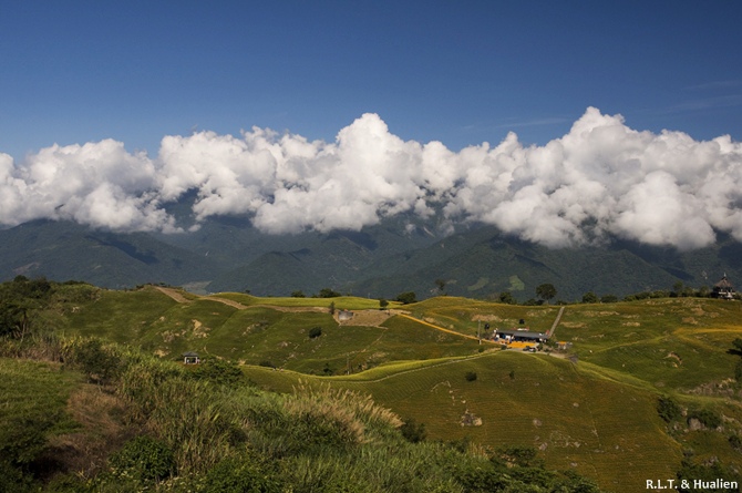 花蓮富里-六十石山-黃花亭上.jpg