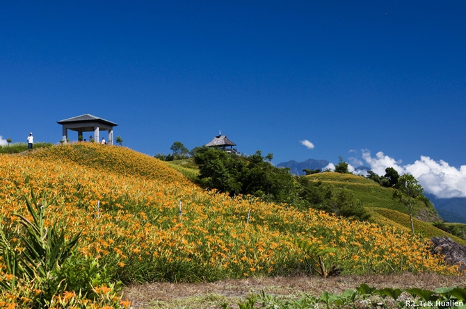 花蓮富里-六十石山-尖閣亭 (9).jpg