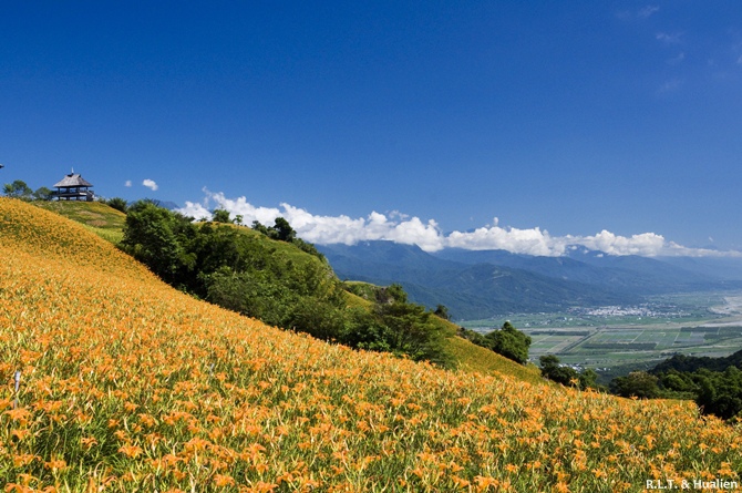 花蓮富里-六十石山-尖閣亭 (13).jpg