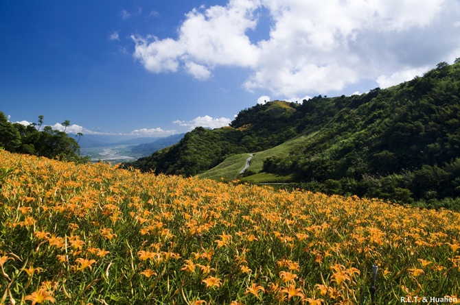 花蓮富里-六十石山-尖閣亭 (15).jpg