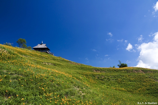 花蓮富里-六十石山-尖閣亭 (46).jpg