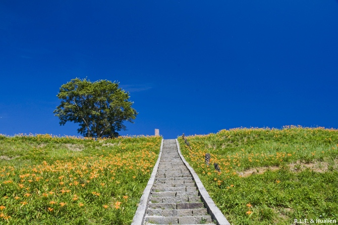 花蓮富里-六十石山-尖閣亭 (47).jpg