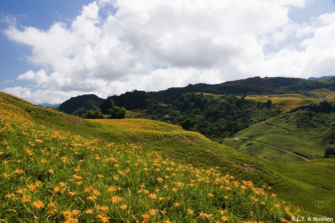 花蓮富里-六十石山-尖閣亭 (48).jpg