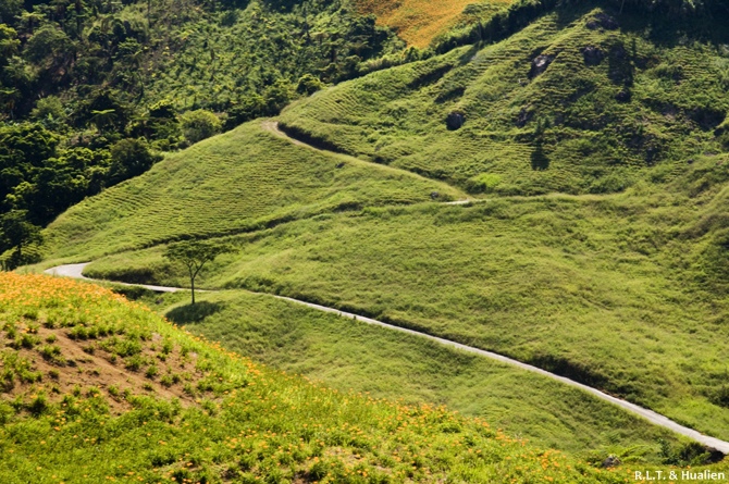 花蓮富里-六十石山-尖閣亭 (50).jpg