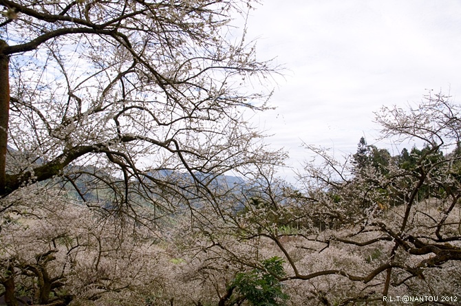 2012烏松崙去賞梅花-柳家梅園_42.jpg 2012烏松崙去賞梅花-柳家梅園_42.jpg
