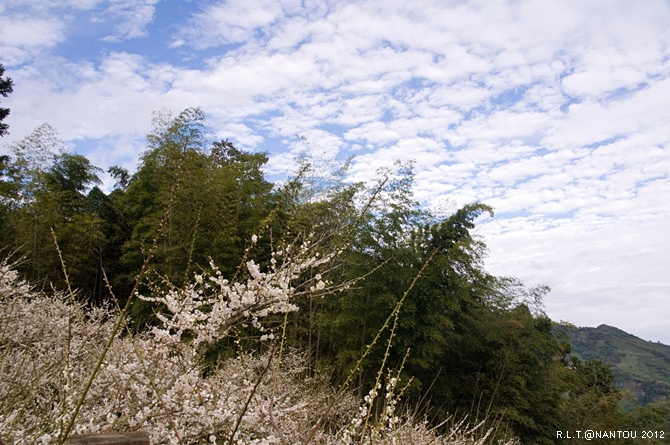 2012烏松崙去賞梅花-柳家梅園_59.jpg 2012烏松崙去賞梅花-柳家梅園_59.jpg