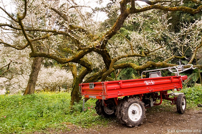 2012烏松崙去賞梅花-柳家梅園_104.jpg 2012烏松崙去賞梅花-柳家梅園_104.jpg