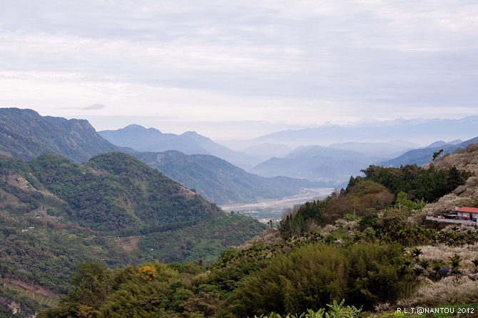 2012烏松崙去賞梅花-柳家梅園_114.jpg 2012烏松崙去賞梅花-柳家梅園_114.jpg