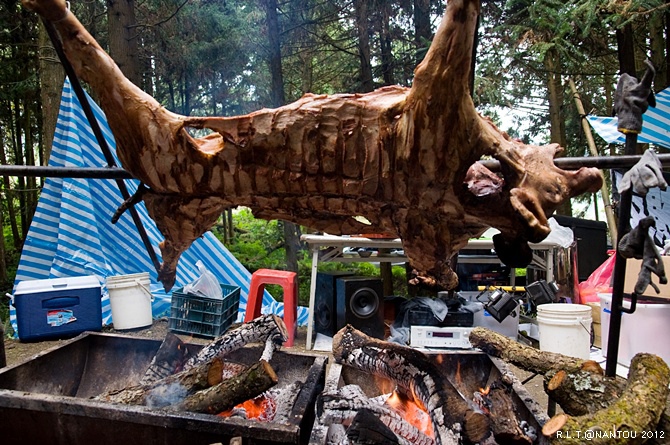 2012烏松崙去賞梅花-柳家梅園_125.jpg 2012烏松崙去賞梅花-柳家梅園_125.jpg