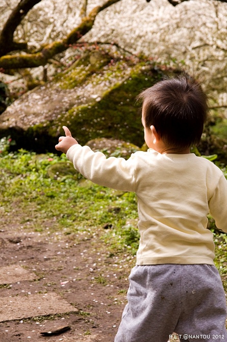 2012烏松崙去賞梅花-柳家梅園_186.jpg 2012烏松崙去賞梅花-柳家梅園_186.jpg
