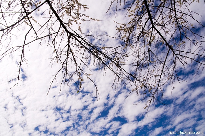 2012烏松崙去賞梅花-柳家梅園_217.jpg 2012烏松崙去賞梅花-柳家梅園_217.jpg
