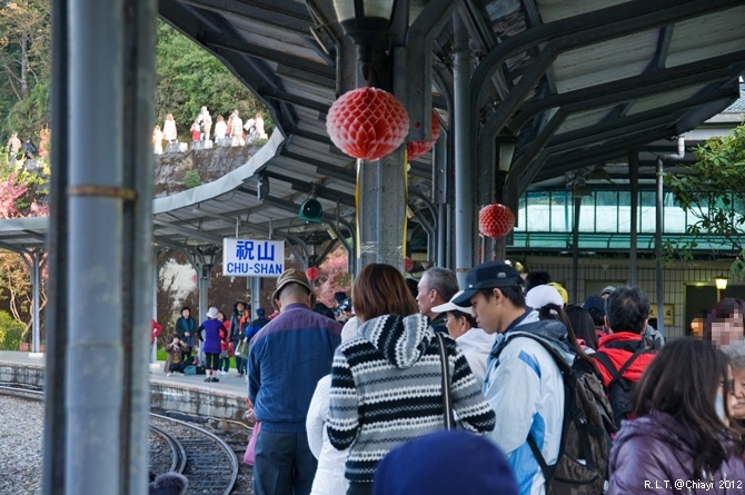 2012嘉義阿里山森林遊樂園‧櫻花季+吉野櫻花盛開+日出+小火車 (25)