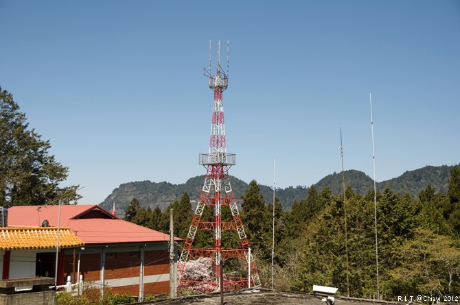 2012嘉義阿里山森林遊樂園‧櫻花季+吉野櫻花盛開+日出+小火車 (192)