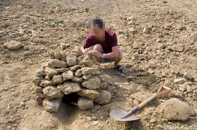 焢土窯-土窯雞_36