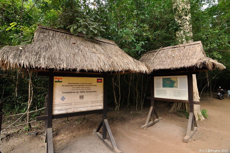 2011 吳哥窟-塔普倫神廟Taprohm Temple-古墓奇兵 安潔安潔莉娜裘莉 (3)