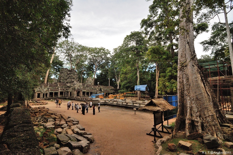 2011 吳哥窟-塔普倫神廟Taprohm Temple-古墓奇兵 安潔安潔莉娜裘莉 (16)