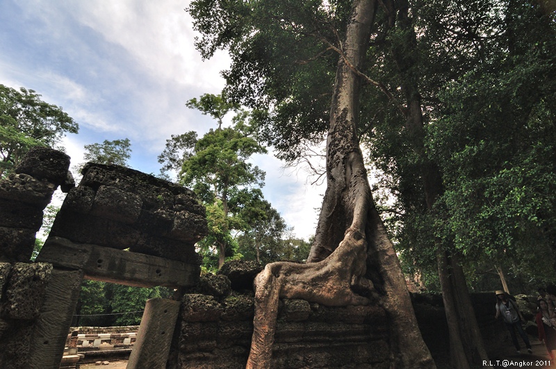 2011 吳哥窟-塔普倫神廟Taprohm Temple-古墓奇兵 安潔安潔莉娜裘莉 (21)