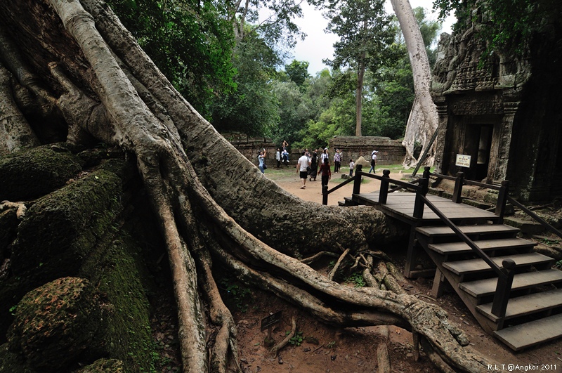 2011 吳哥窟-塔普倫神廟Taprohm Temple-古墓奇兵 安潔安潔莉娜裘莉 (26)