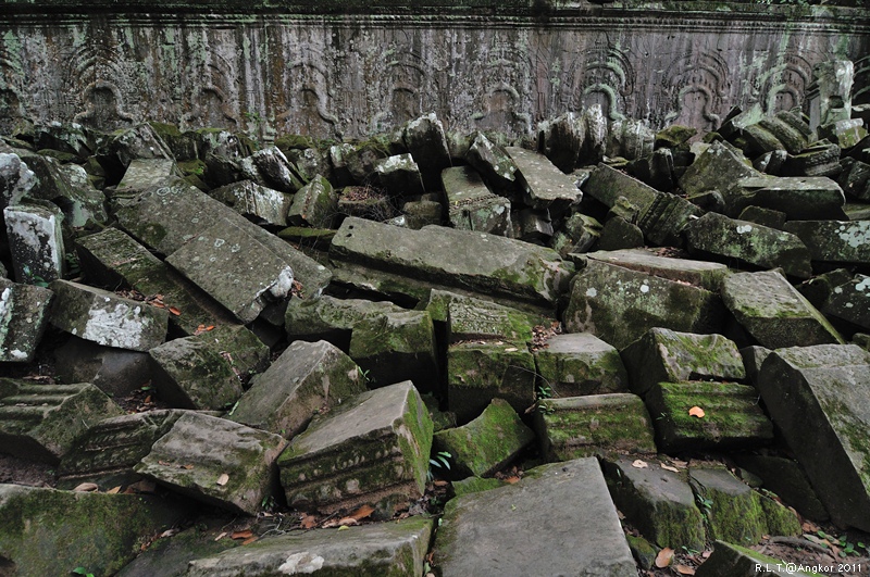 2011 吳哥窟-塔普倫神廟Taprohm Temple-古墓奇兵 安潔安潔莉娜裘莉 (30)