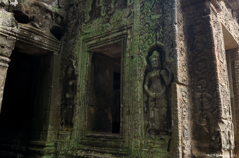 2011 吳哥窟-塔普倫神廟Taprohm Temple-古墓奇兵 安潔安潔莉娜裘莉 (35)