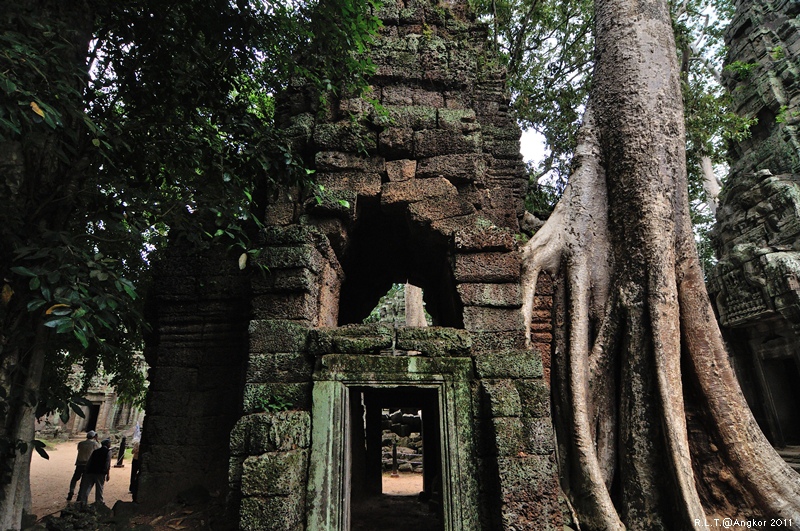 2011 吳哥窟-塔普倫神廟Taprohm Temple-古墓奇兵 安潔安潔莉娜裘莉 (38)