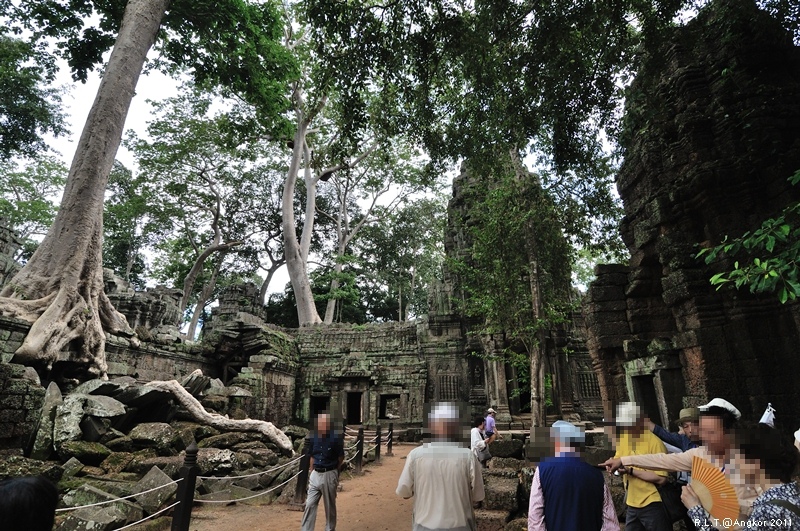 2011 吳哥窟-塔普倫神廟Taprohm Temple-古墓奇兵 安潔安潔莉娜裘莉 (44)