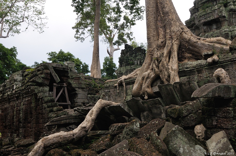 2011 吳哥窟-塔普倫神廟Taprohm Temple-古墓奇兵 安潔安潔莉娜裘莉 (54)