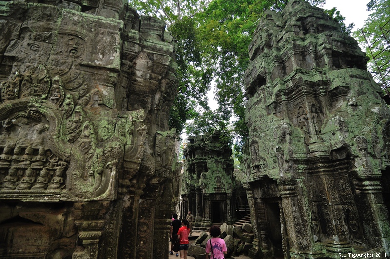 2011 吳哥窟-塔普倫神廟Taprohm Temple-古墓奇兵 安潔安潔莉娜裘莉 (82)