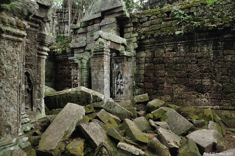 2011 吳哥窟-塔普倫神廟Taprohm Temple-古墓奇兵 安潔安潔莉娜裘莉 (92)