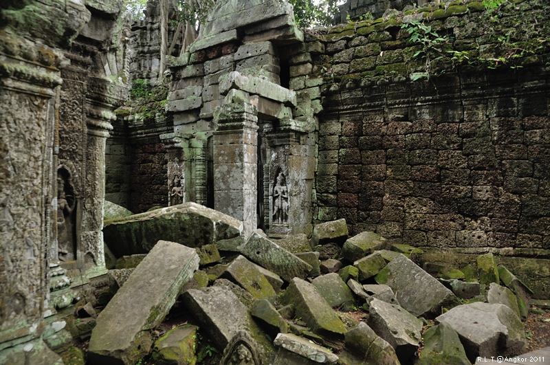 2011 吳哥窟-塔普倫神廟Taprohm Temple-古墓奇兵 安潔安潔莉娜裘莉 (92)