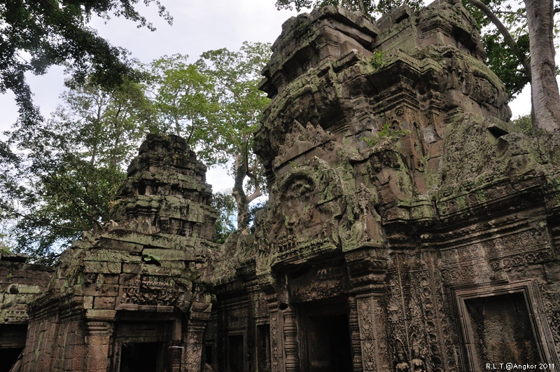 2011 吳哥窟-塔普倫神廟Taprohm Temple-古墓奇兵 安潔安潔莉娜裘莉 (101)